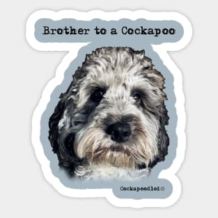 Cockapoo Dog Brother Sticker